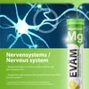 Magnesium 375mg Brausetabletten 5 Produktbild-Vorschau 5