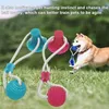 Hundespielzeug mit Saugnapf Hunde Spielzeug Hundespielzeug Produktbild-Vorschau 7