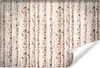 Muralo Vlies Fototapete für Wohnzimmer BIRKEN Bäume Natur Produktbild-Vorschau 1