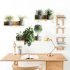 3D Wandaufkleber, Entfernbarer Bonsai Wandaufkleber, Produktbild-Vorschau 3