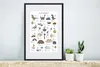 MuchoWow® Gerahmtes Poster Dinosaurier - Kinderzimmer - Produktbild-Vorschau 4