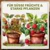 Green Home Beerenobst Erde 72 L – Spezialsubstrat für Produktbild-Vorschau 5