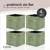 Kallax Boxen Cord | faltbare Aufbewahrungsboxen 33x33xH31cm Produktbild-Vorschau 9