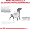 Royal Canin Intestinal Gastro Low Fat 12Kg - Karma Dla Psa Podgląd zdjęcia produktu 5