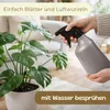 Sprühflasche Pflanzen Pflanzensprüher Sprühflasche leer 1L Produktbild-Vorschau 2