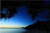 A serene beach scene at dusk, with silhouetted trees framing the view of the ocean and a dark mountain range. Anteprima dell’immagine prodotto