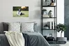 MuchoWow® Poster Ein glücklicher Border Collie, dem die Produktbild-Vorschau 4