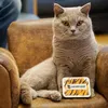 LASERTIGER interattivo e sicuro per gli occhi, giocattolo Anteprima dell’immagine prodotto 3