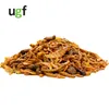 UGF Universal Schildkrötenfutter Mix 500g (3L Eimer) – Produktbild-Vorschau 2