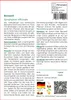 SAFLAX - Beinwell - Symphytum officinale - 15 Samen Produktbild-Vorschau 3