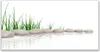 Glasbilder 140x70 Wandbild Druck auf Glas Steine Gras Kunst Produktbild-Vorschau 1