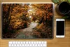 MuchoWow® Laptop Aufkleber Sticker Cover Herbstwald - Weg - Produktbild-Vorschau 2