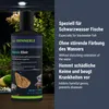 Dennerle Humin Elixir, 250 ml - Tropische Huminstoffe und Produktbild-Vorschau 4