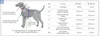Dog Copenhagen Trixie halsband voor honden, maat M/L, Productafbeelding-voorbeeld 7
