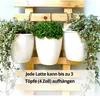 Wandpflanzer Holz 30 cm, Wand Blumentopf Halter, Massivholz Produktbild-Vorschau 4