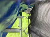 walexo Trampolin "Innenliegendes Sicherheitsnetz" für 8 Produktbild-Vorschau 4