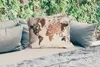 MuchoWow® Outdoor Kissen - Weltkarte - Holz - Braun - 60x40 Produktbild-Vorschau 2