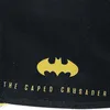 Batman Curved Bill Cap Core Logo Produktbild-Vorschau 5