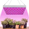 Lampada LED per piante da 45 W, lampada da coltivazione con Anteprima dell’immagine prodotto 1