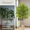 tectake® Künstlicher Ficusbaum Fida verschiedene Größen Produktbild-Vorschau 4
