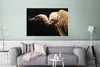 MuchoWow® Poster Geier - Vogel - Tiere 120x80 cm - Bilder Produktbild-Vorschau 5