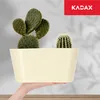 A hand holding a cream-colored oval planter with two cacti inside, against a light gray background with shadows. Produktbild-Vorschau