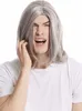 WIG ME UP Herrenperücke lang cool Mittelscheitel grau Produktbild-Vorschau 2