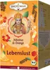 Shoti Maa - Lebenslust - Hibiskus & Orange - 16x2g Produktbild-Vorschau 2
