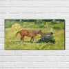 Coloray - Bild aus Glas - Glasbilder - 100 x 50 cm - Produktbild-Vorschau 2
