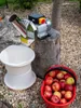 Zerkleinerer Strend Pro EFC-2, für Obst, Äpfel, 550 W, 1 Produktbild-Vorschau 11