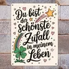 Du bist der schönste Zufall in meinem Leben Metallschild Produktbild-Vorschau 7