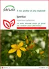 SAFLAX  - Iperico - 300 semi - Hypericum Anteprima dell’immagine prodotto 1