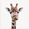 MuchoWow® Poster Jungen - Giraffe - Tiere - Kopf - Porträt Produktbild-Vorschau 1