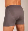 Dulcia boxer lot de 2 new basic Coton 4-1 rib grey hommes Voir les images du produit 3