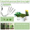 A collage of images showcasing plant grow lights and indoor plants, highlighting features like timing modes, adjustable brightness, and simulated natural light. Produktbild-Vorschau