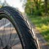 Schwalbe Energizer Plus 29/28" (622 mm) 47.0 Nero Anteprima dell’immagine prodotto 4