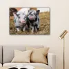 MuchoWow® - Leinwandbilder - Schwein - Tiere - Ferkel, Produktbild-Vorschau 6