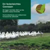 HANSKRUCHEN Daunenkissen 80x80 cm Allergiker freundlich 3 Produktbild-Vorschau 10