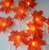 Řetěz světel na podzim, 6 metrů, 40 LED diod, teplá bílá Náhled obrázku produktu 5
