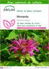 SAFLAX  - Monarde - 20 graines - Avec substrat - Monarda Voir les images du produit 1