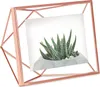 Umbra 313016-880, Einzelbilderrahmen, Roségold, Tisch, 10 x Produktbild-Vorschau 4