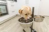 TRIXIE Hundebar, Metall/Edelstahl - diverse - 2 × 4,5 l/ø Produktbild-Vorschau 6