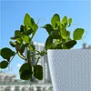 A white planter with a knitted texture sits on a windowsill, with a pea plant growing out of it. The background shows a blue sky and buildings. Anteprima dell’immagine prodotto