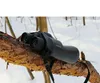 Binoculars resting on a tree branch in a snowy forest. Anteprima dell’immagine prodotto