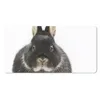 MuchoWow® Mauspad Mousepad Kaninchen - Haustiere - Fell Produktbild-Vorschau 1