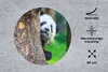 MuchoWow® Mauspad Mousepad Panda - Baum - Wald 50x50 cm - Produktbild-Vorschau 2