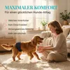 HUND IST KÖNIG Hundewindeln für Rüden [3 Stk], L (Taille Produktbild-Vorschau 4