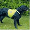 Gilet di sicurezza Trixie per cani - XL Anteprima dell’immagine prodotto 3
