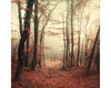 Glasbild Mystic Forest I GLA2022 20x20 cm Produktbild-Vorschau 1
