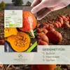 Kürbis Samen (Hokkaido, 5 Korn) - Kürbis Saatgut aus Produktbild-Vorschau 2